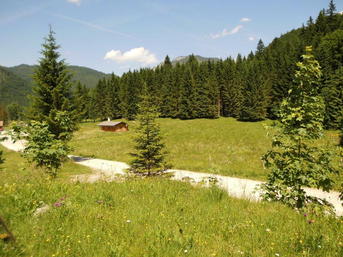 Seewiesenalm Райт-им-Винкль Экстерьер фото